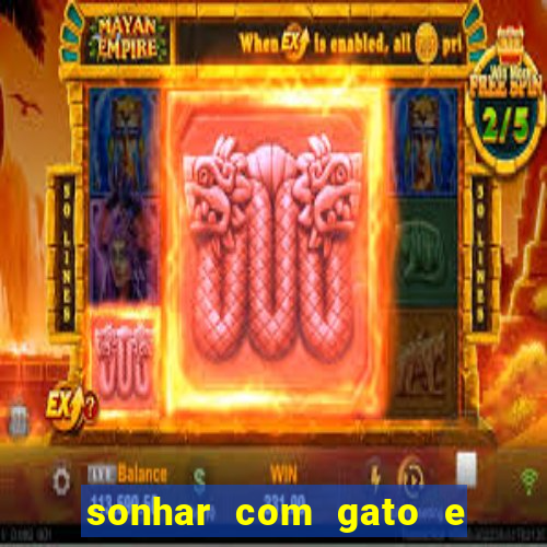 sonhar com gato e cachorro juntos jogo do bicho